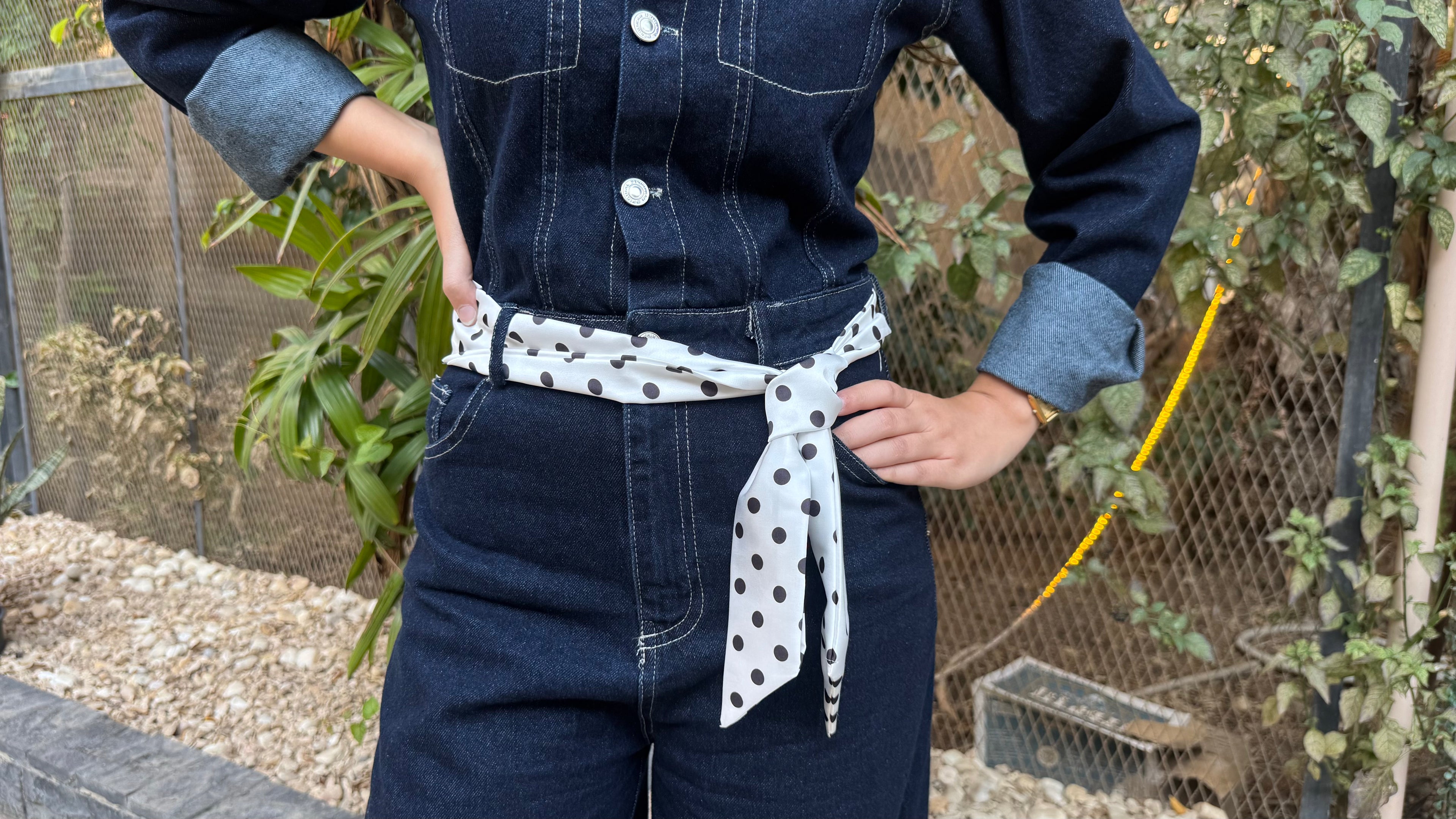 Rabtta Dot Ribbon