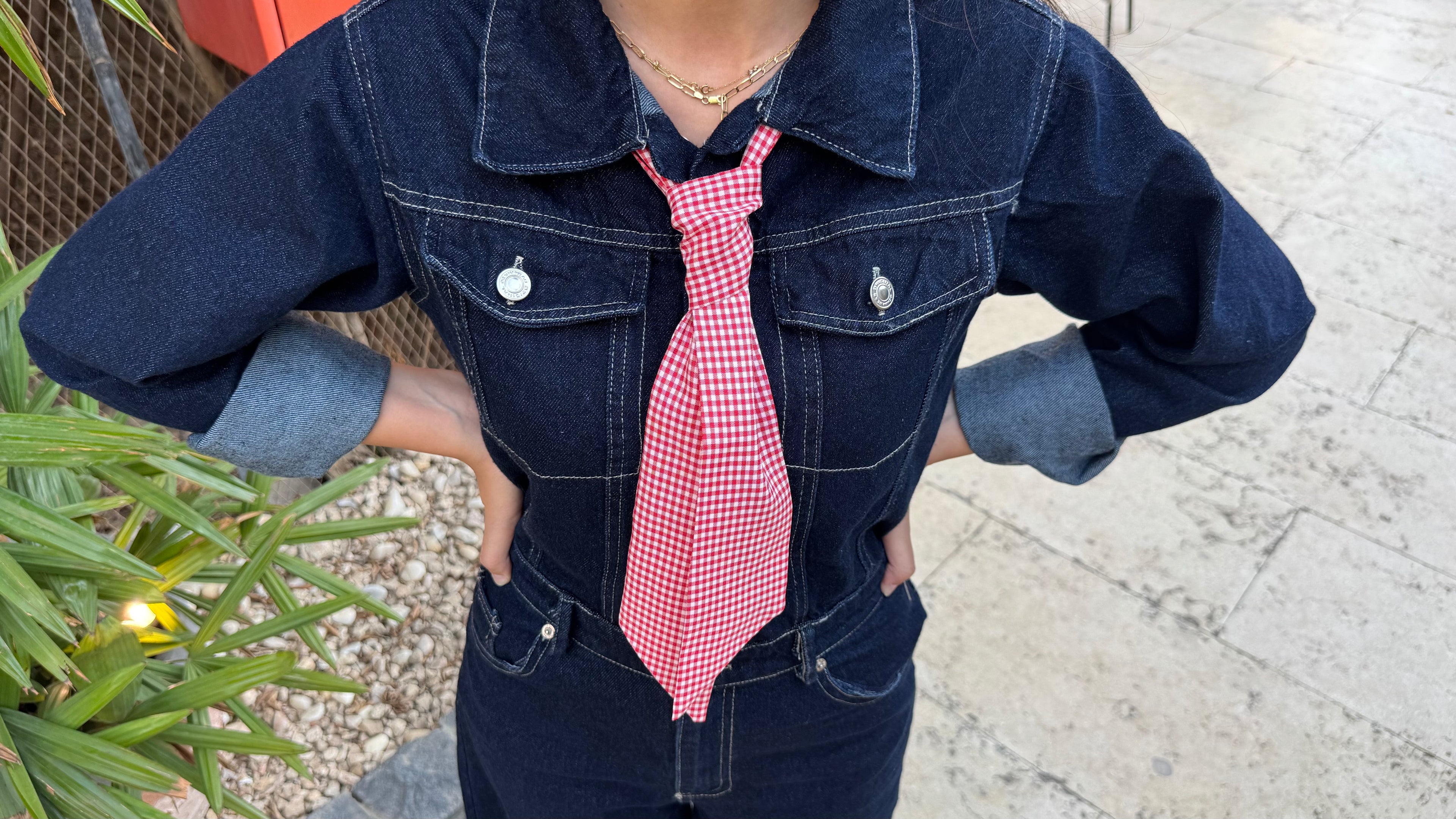 Zina Ribbon